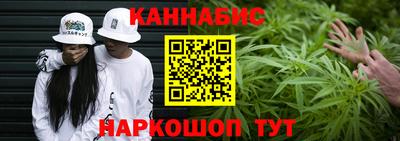 шишки Абакан