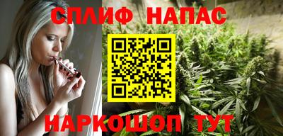шишки Абакан
