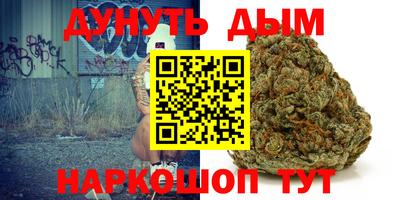 шишки Абакан