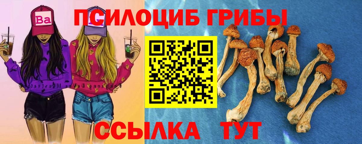 Галлюциногенные грибы Psilocybe  Вход с VPN  Алексеевка  Галлюциногенные грибы Psilocybe 